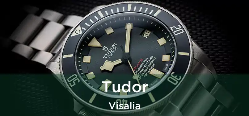 Tudor Visalia